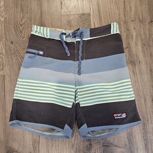 Patagonia Wavefarer Shorts Size 30